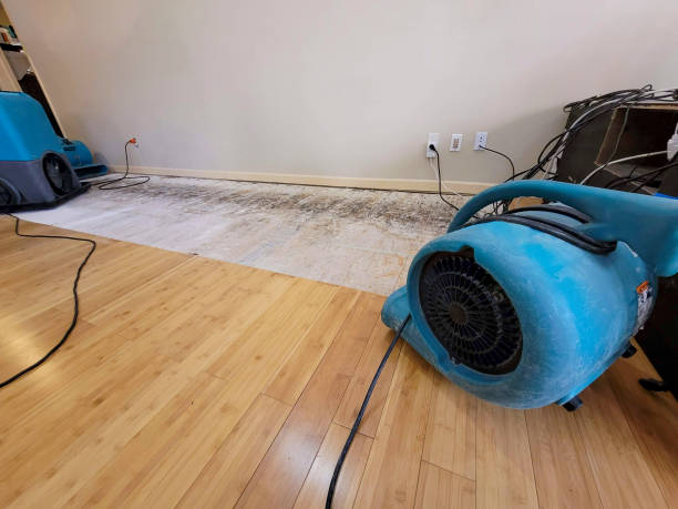 Professional Basement Flood Cleanup technician working in Secaucus, NJ